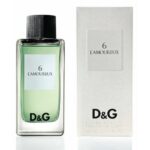 Dolce & Gabbana Anthology L'Amoureux 6 EDT For Men 100 ML
