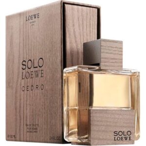 Loewe Solo Loewe Cedro EDT For Men 100 ML
